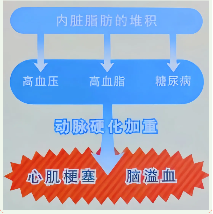 screenshot_2025-03-11_15-32-33.png