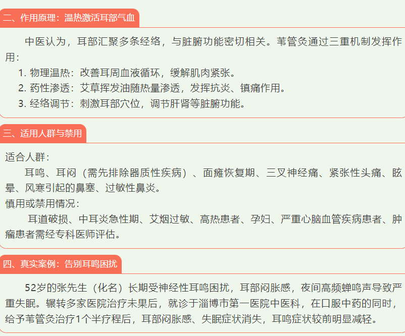screenshot_2025-04-10_17-00-49.png